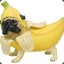 Bananadog