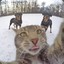 Selfie Cat 💕