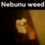 nebunu weed