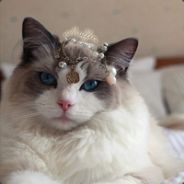 难受，宁愿被打爆的是自己