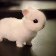 bap.