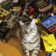 我在这里走来走去