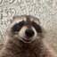tom