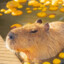 Flying Capybara