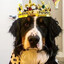 KING BERN