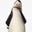 365 Haben