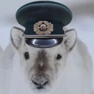 Svalbard Caribou