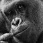 CSGOEmpire.com Juan