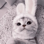 ʕ̯•͡ˑ͓•̯᷅ʔ腓腓ʚ