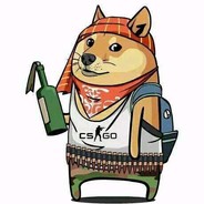 诚实韩某，从不开挂？