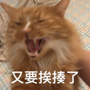 蹿稀妈宝曹国庆