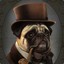 Mr. PugZ