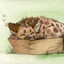 Lyeen