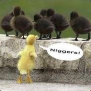 IchFickDichDuHurenSohnHacker