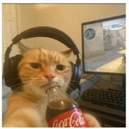 Steam Avatar