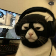 Nico Ribeiro 's avatar