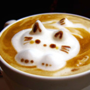 Kattpuccino15