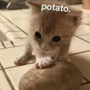potato kitty