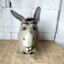 Hyper-Donkey228