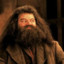 Hagrid