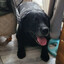 Homero