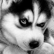 给你机会你也不中用啊