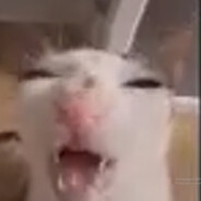 zrai's avatar