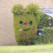 I'm a bush, I don't care.