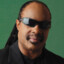 Stevie Wonder