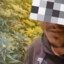 espigaputo