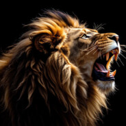 Laki - steam id 76561199040649040