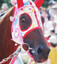 RichardParker369