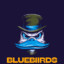 Bluebirds