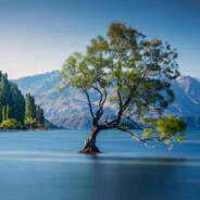 请用魔法打败我