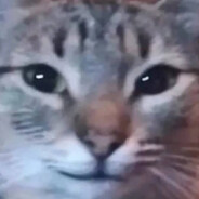 Vantillay