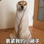 百威221335599