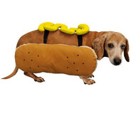 flourdog