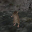 Cave Rat #1