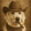 Somayke