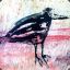 The Moldy Crow