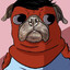 omni pug