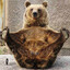 Bear$$$