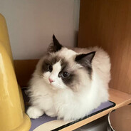 吃药都得咖啡送