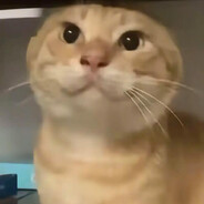 专业潜水艇驾驶员