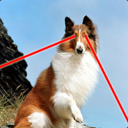 LaserLassie - steam id 76561197964427924