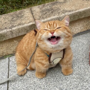 脑子是个好东西