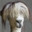 Firle Franz