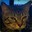 PartyCat
