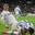 el bicho avatar
