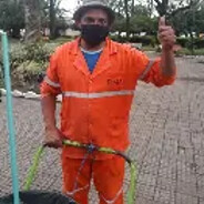 MAGO ALVES